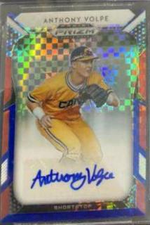 Anthony Volpe