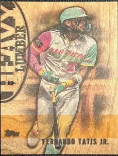 Fernando Tatis Jr.