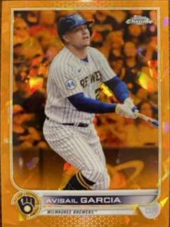 Avisail Garcia