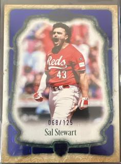 Sal Stewart