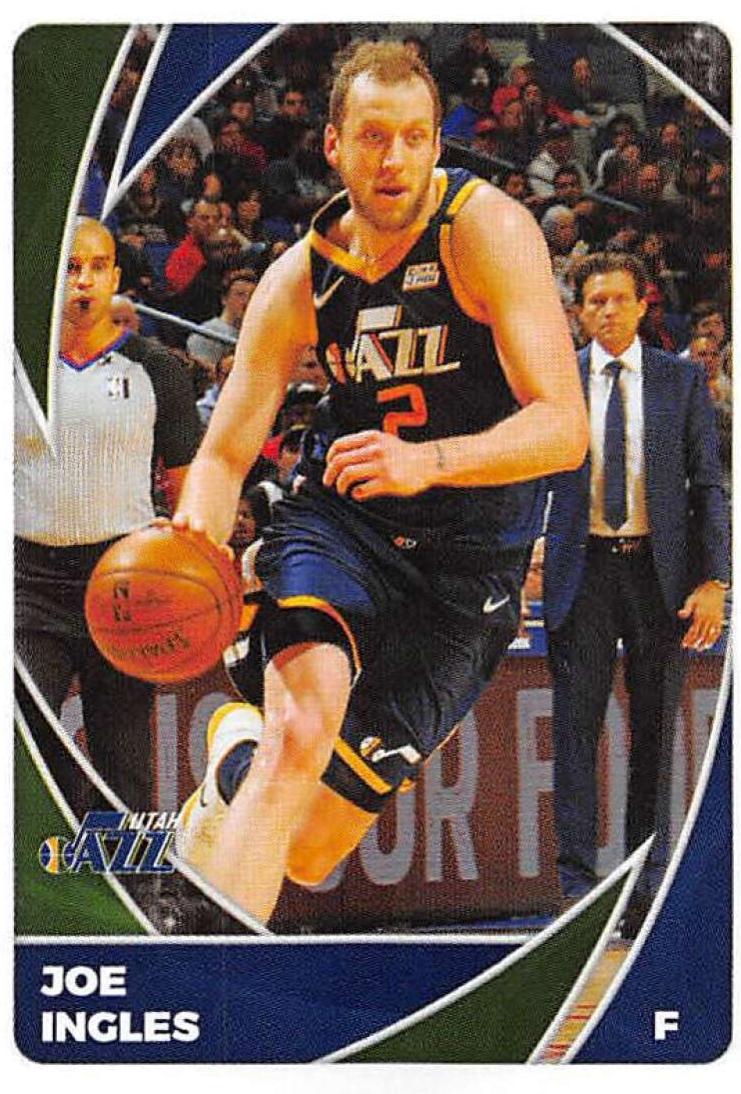 Joe Ingles #489