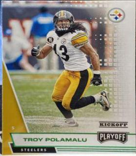 Troy Polamalu