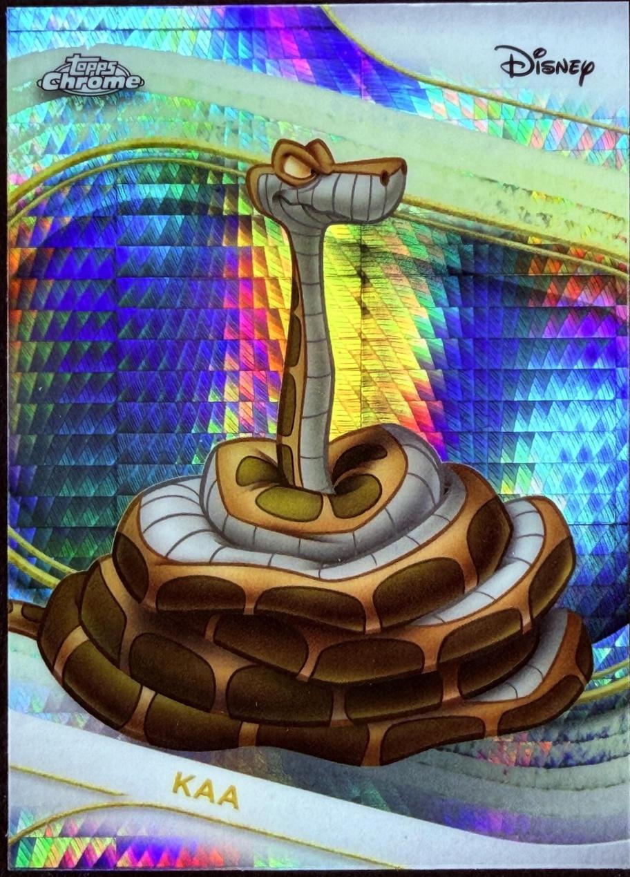 Kaa #109