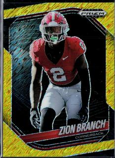 Zion Branch