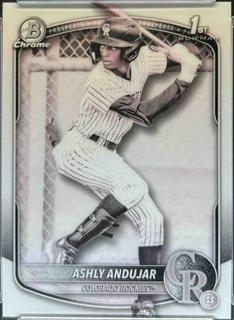 Ashly Andujar
