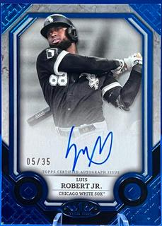 Luis Robert Jr.