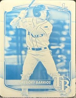 Gregory Barrios