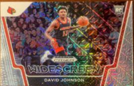David Johnson