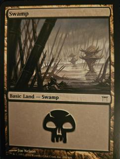 Swamp