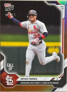 Bryan Torres