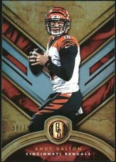 Andy Dalton