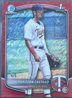 Haritzon Castillo