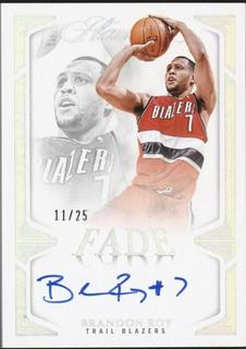 Brandon Roy