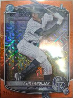 Ashly Andujar