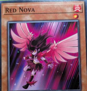 Red Nova DLCS-EN113