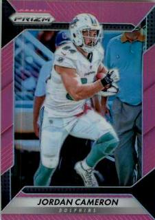 Jordan Cameron