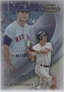 Carl Yastrzemski