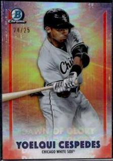 Yoelqui Cespedes