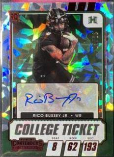 Rico Bussey Jr.