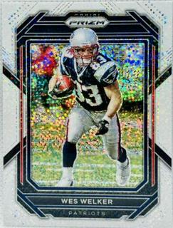 Wes Welker