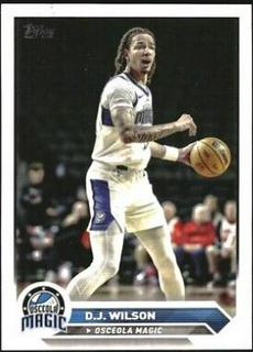 D.J. Wilson