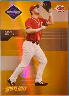 Adam Dunn