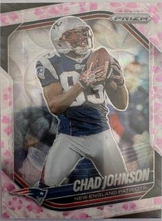 Chad Johnson