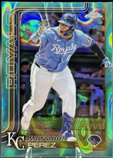 Salvador Perez