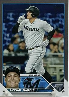 Avisail Garcia