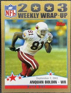 Anquan Boldin