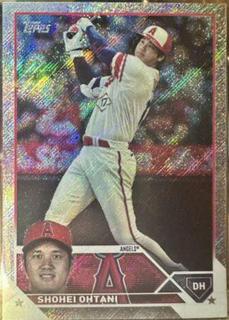 Shohei Ohtani