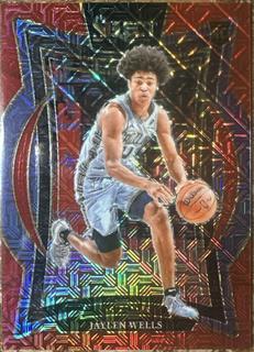Jaylen Wells