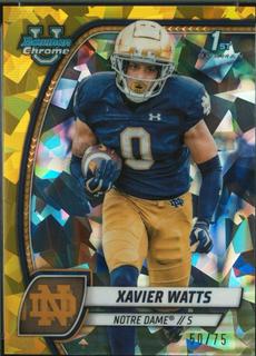 Xavier Watts