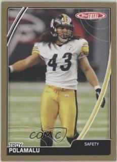 Troy Polamalu