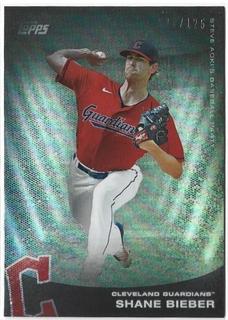 Shane Bieber