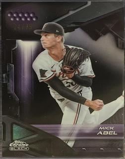 Mick Abel