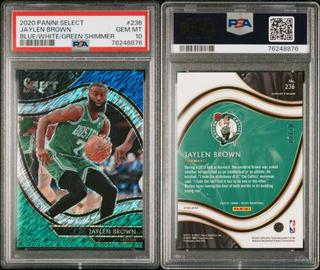 Jaylen Brown