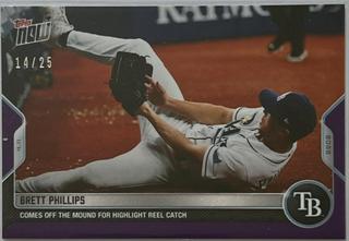 Brett Phillips