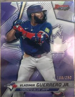 Vladimir Guerrero Jr.