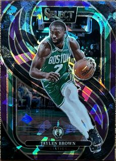 Jaylen Brown