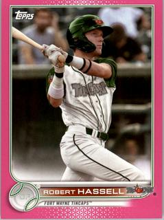 Robert Hassell