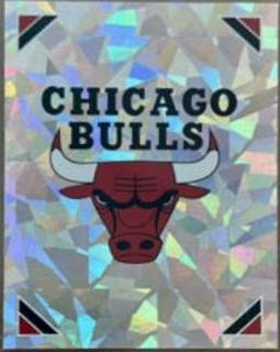 Team Logo