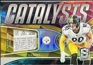 T. J. Watt