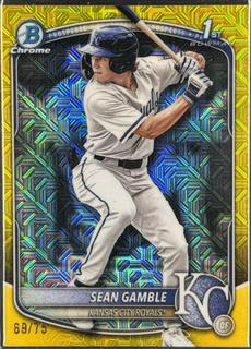 Sean Gamble