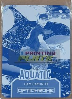 Cam Caminiti