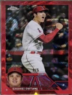 Shohei Ohtani