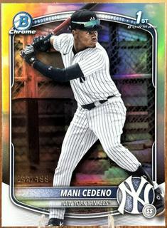 Mani Cedeno