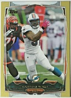 Cameron Wake