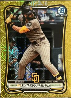 Fernando Tatis Jr.