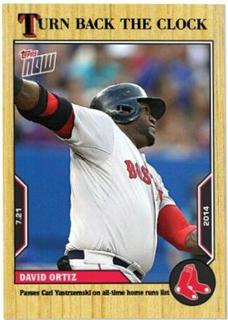David Ortiz